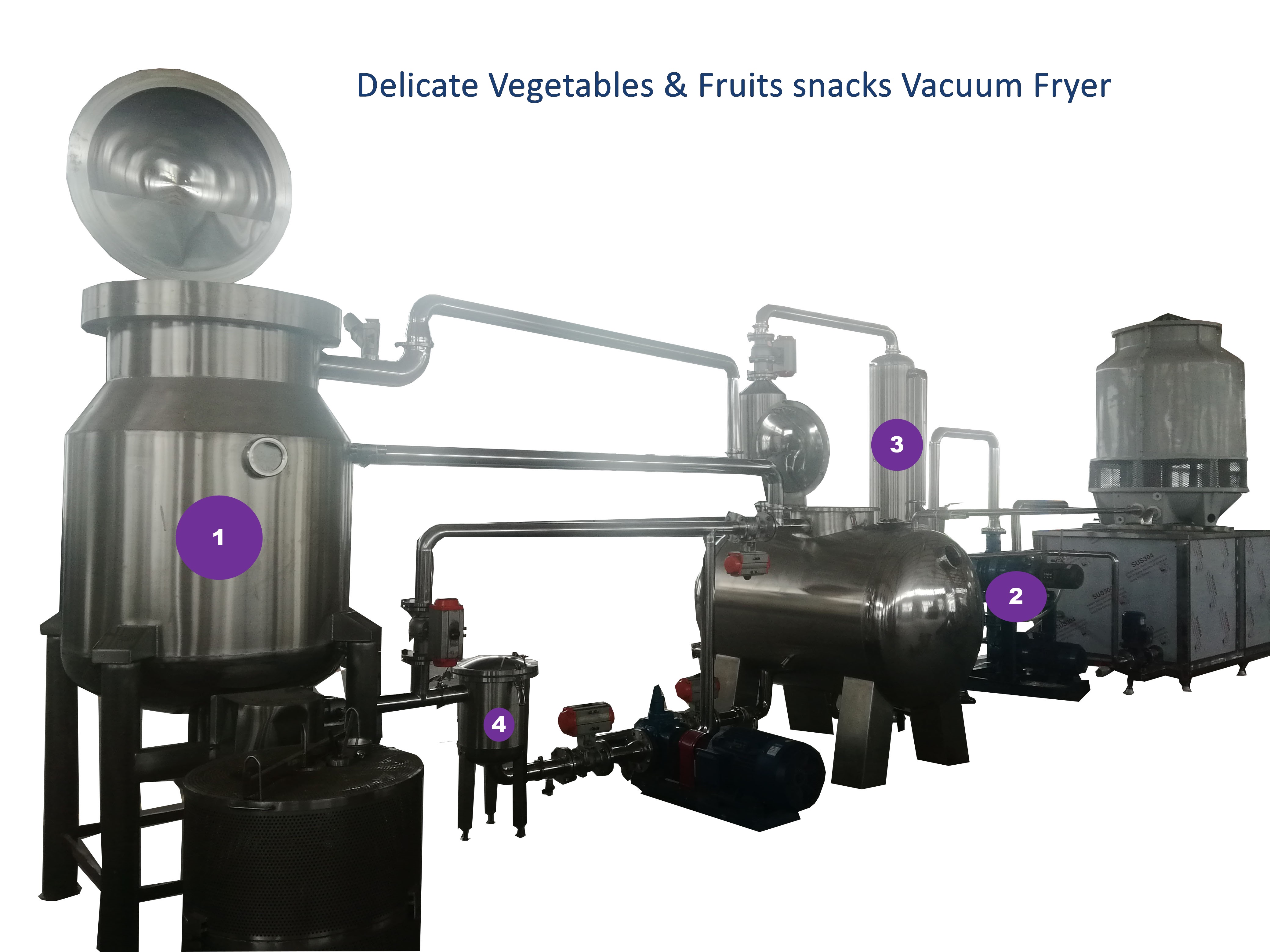 Delicate Vegetables And Fruits Snacks Vacuum Fryer